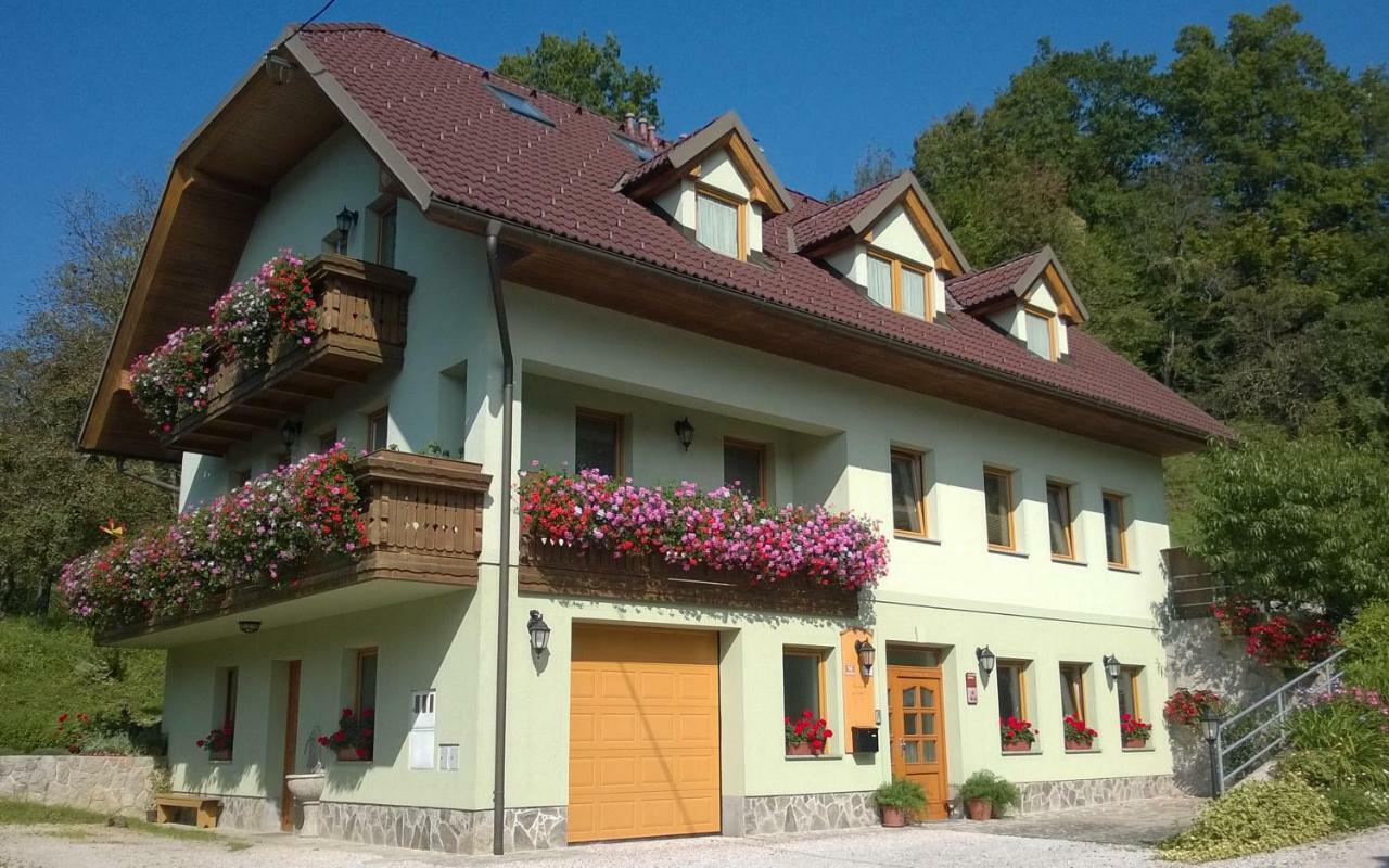 Apartmaji Hribar Pr'Ostank Kamnik Exterior photo